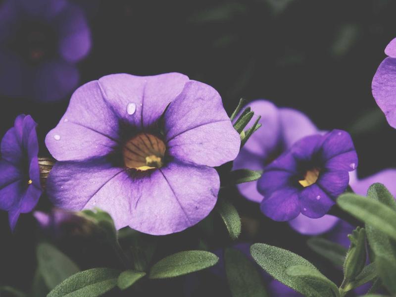 feedback screenshot 2